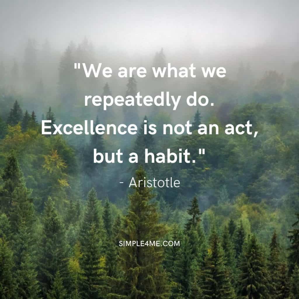 Aristotle's  positive new journey quote on excellence and habits
