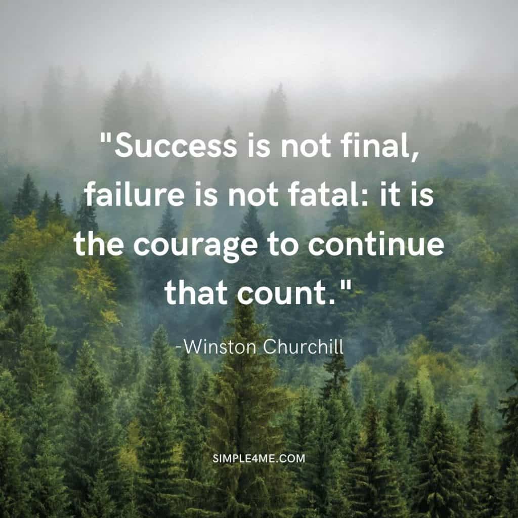 A positive new life journey quote from Winston Churchill “Success is not final, failure is not fatal: it is the courage to continue that count.” - Winston Churchill.