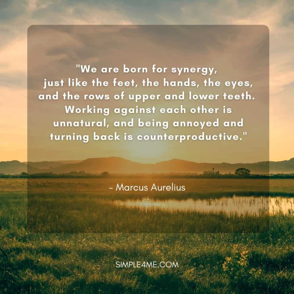 Marcus Aurelius's positive new life journey quote on synergy and how they work together
